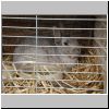 DSC00663.JPG