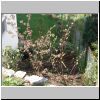 DSC00684.JPG