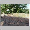 DSC01266.gif