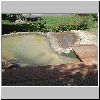 DSC01270.gif
