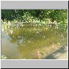 DSC01813.gif