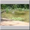 DSC01846.gif