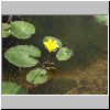 DSC02360.gif
