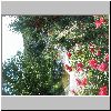DSC02484.gif